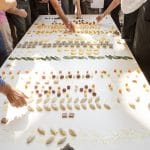 Expo-FoodCarpet-Foto Alessandro Toscano-009