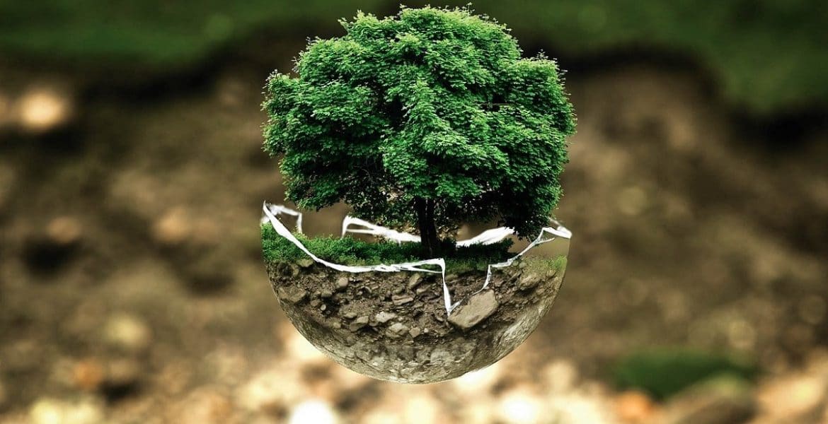 transizione ecologica mite